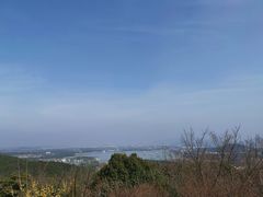 -香雪海