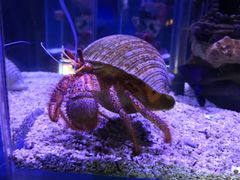 -太平洋海底世界