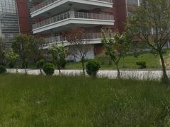 -浙江大学(玉泉校区)