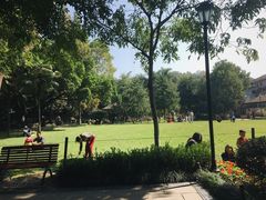 -墨池公园
