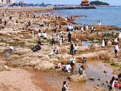 -青岛第二海水浴场