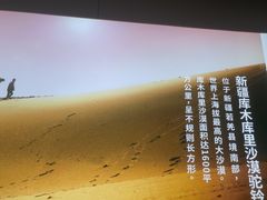 -西域胡氏大盘鸡(谈固店)