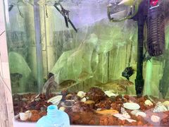 -苏浙徽·农家大院(开发区星湖101店)