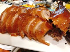 -佳兰雅序融合菜(高新店)