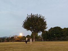 -仓山金山寺