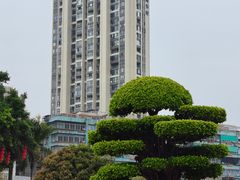 -石炮台公园