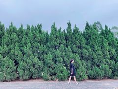 -南沙蒲洲花园