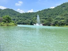 -广州白江湖森林公园