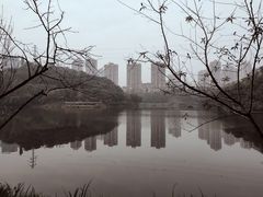 -重庆彩云湖湿地公园