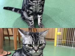 -藦茜花园宠物主题亲子互动体验馆(国顺东路店)