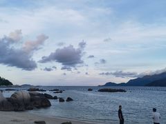 -花海间·即刻露营