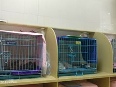 -瑞鹏宠物医院·骨科·猫科·内科(第一中心)