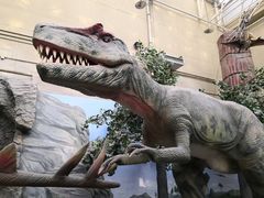 -国家自然博物馆