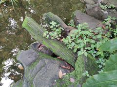 -成都市活水公园
