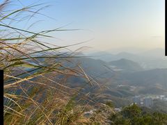 -梧桐山风景名胜区