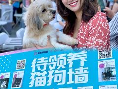 -远洋未来汇