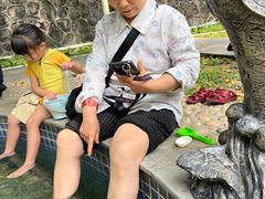 -罗浮山嘉宝田森林温泉度假酒店