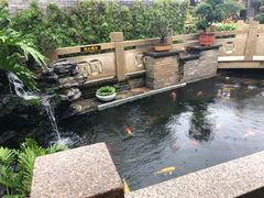 -顺德了能馆(虎门店)