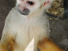 -石家庄市动物园