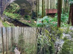 -凤栖山