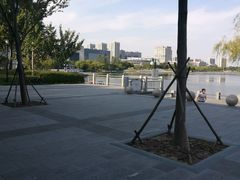 -聚龙湖公园
