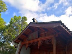 -上海市保健医疗中心