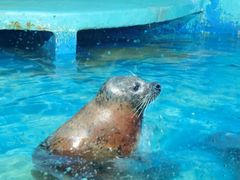 -太平洋海底世界