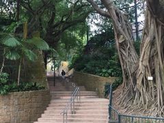 -九龙公园