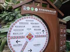 -西双版纳原始森林公园