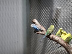 -正佳雨林生态植物园