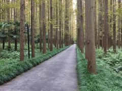 -上海怡沁园度假酒店