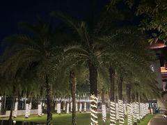 -逸廊大堂吧(三亚海棠湾万丽度假酒店)