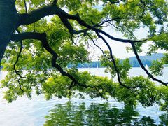 -西湖国宾馆·紫薇厅