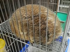 -乐宠宠物店(世纪金源店)