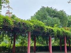 -妙乐寺