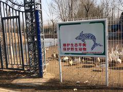 -东郊湿地公园