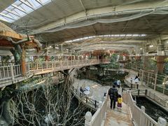 -南宫五洲植物乐园