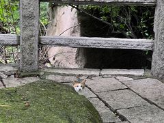 -崂山巨峰游览区