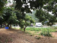 -牙山果园·烧烤野炊·钓鱼团建·烤全羊