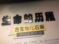 -温州博物馆