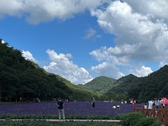 -广州市石门国家森林公园