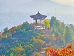 -大岭沟猕猴桃谷风景区