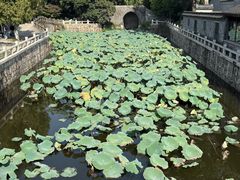 -水绘园