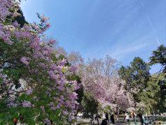 -山东师范大学(千佛山校区)