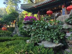 -白家大院·王府宫廷菜(苏州街店)