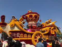 -荷兰花海