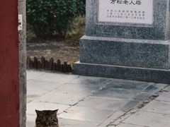 -正阳书局(西四南大街店)