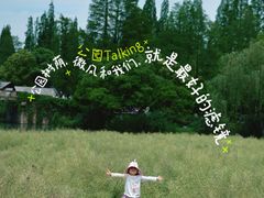 -乌村