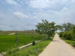 -光明小镇欢乐田园