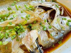 -晓琦农家菜馆·地道农家菜